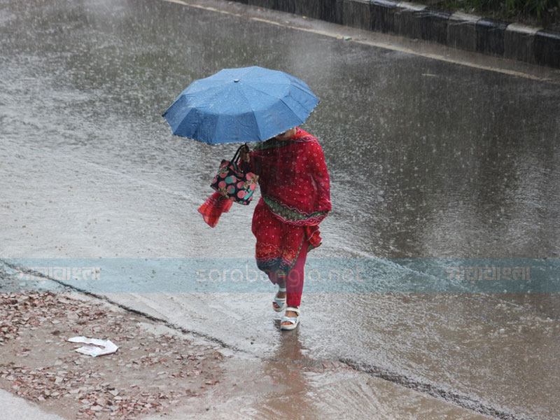 বৃষ্টি নামে