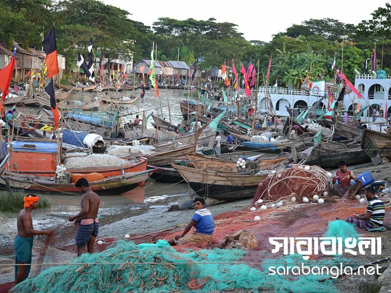 মেঘনায় ইলিশ