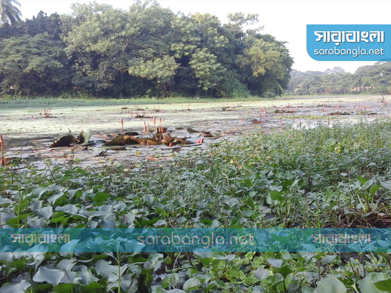 জাহাঙ্গীরনগর বিশ্ববিদ্যালয়, অতিথি পাখি, পাখির বিচরণক্ষেত্র,