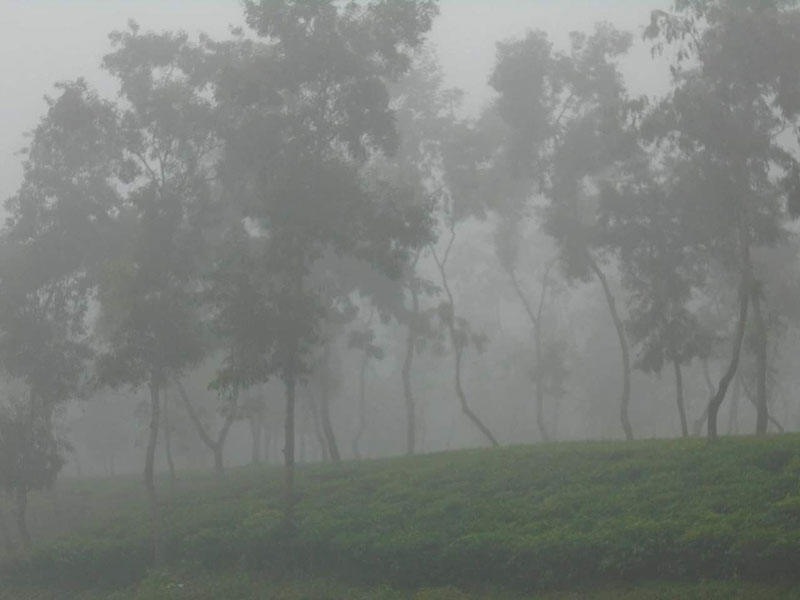 শ্রীমঙ্গলে দেশের সর্বনিম্ন তাপমাত্রা ১৩ দশমিক ৬ ডিগ্রি সেলসিয়াস