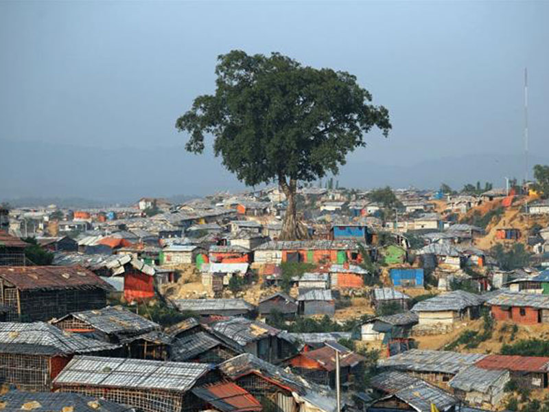 রোহিঙ্গা