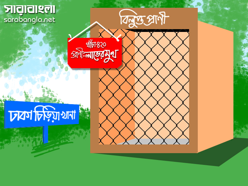 চিড়িয়াখানা