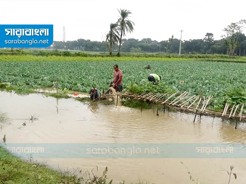 ছবি: সারাবাংলা