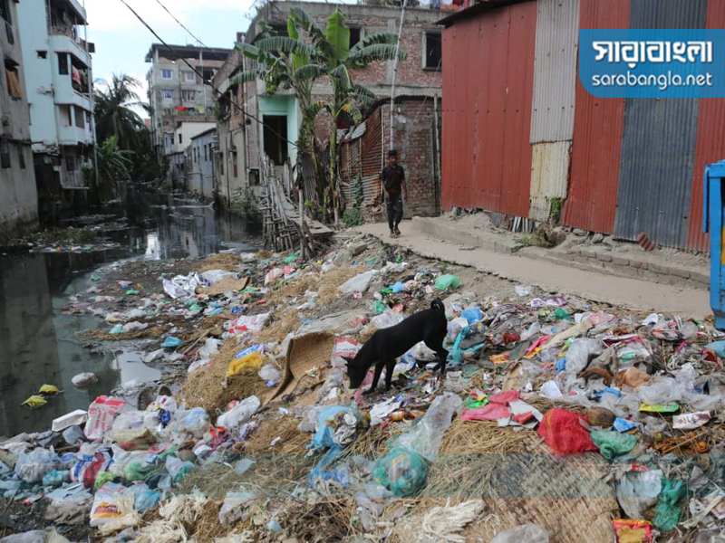 পূর্ব মানিকনগর খাল এলাকায় পড়েছিল কোরবানির বর্জ্য