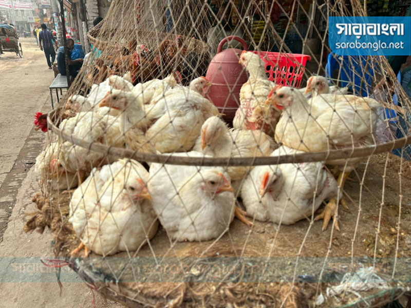 ছবি: সারাবাংলা