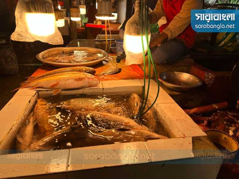 ছবি: সারাবাংলা