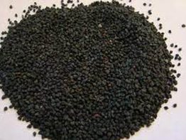 এ বছর পাটবীজের চাহিদা ৬৪০০ টন, আমদানি হবে ৫২০০ টন