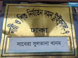 গৃহবধূকে ধর্ষণের পর হত্যা মামলায় আসামি আরিফুলের মৃত্যুদণ্ড