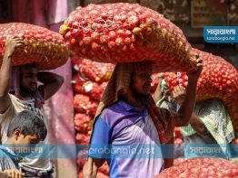 আমদানি ঘোষণায় কেজিতে পেঁয়াজের দাম কমলো ৩০টাকা