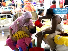 ডেঙ্গুর সঙ্গে যুদ্ধ [ছবি]