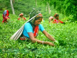 পর্যটনে স্বপ্ন দেখাচ্ছে ফটিকছড়ি