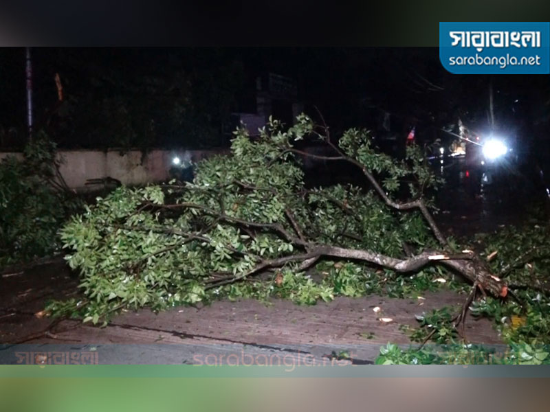 হামুনের আঘাতে গাছের ডাল পড়ে সড়কের উপর, ছবি: সারাবাংলা