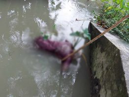 ঝালকাঠিতে খাল থেকে বৃদ্ধের মরদেহ উদ্ধার