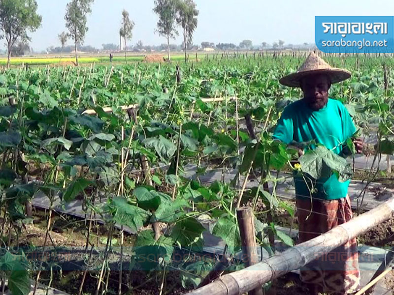 ছবি: সারাবাংলা