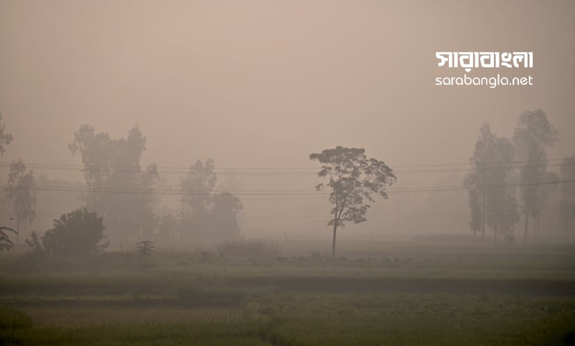 প্রকৃতির সেজেছে কুয়াশার রঙে। ছবি: হাবিবুর রহমান