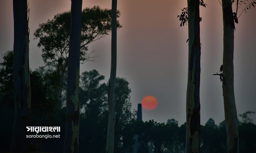 কুয়াশায় ঢেকে আছে প্রকৃতি, তারেই ভেতর উঁকি দিচ্ছে সূর্য । ছবি: সারাবাংলা