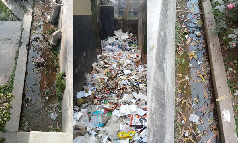 রাবি ক্যাম্পাসে বেড়েছে মশার উপদ্রব, নিধন সক্ষমতা নেই প্রশাসনের