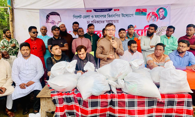 চা শ্রমিকদের দুর্দশা লাঘবে উদ্যোগ নেবে বিএনপি: খন্দকার মুক্তাদির