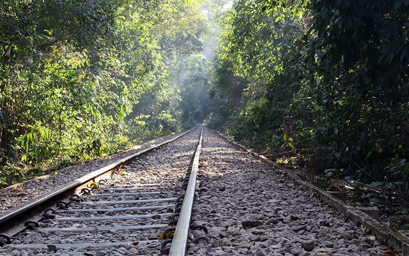 উদ্যানের ভিতরে দিয়ে চলা ঢাকা-সিলেট রেললাইন