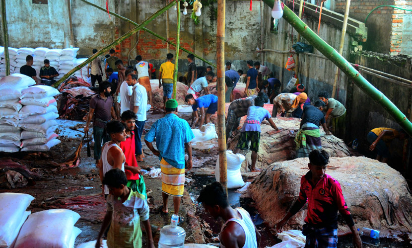 ‎কোরবানির পশুর চামড়ার দাম বাড়ল