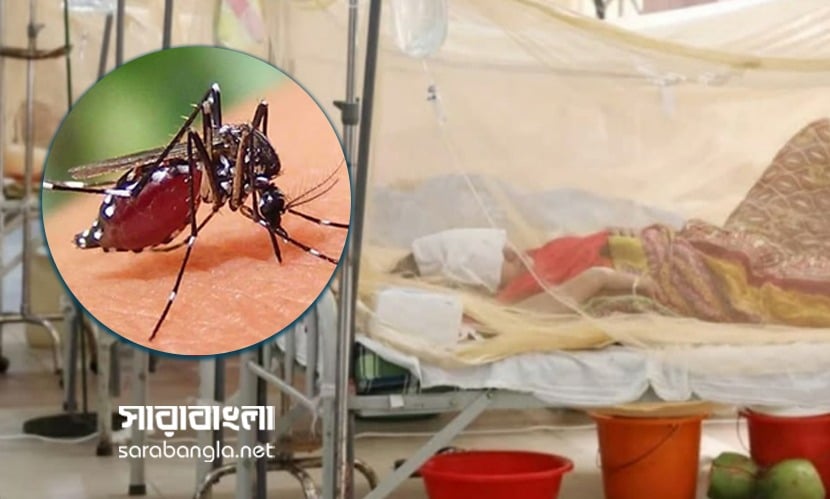 ডেঙ্গু: ২৪ ঘণ্টায় ৪২৯ জন হাসপাতালে ভর্তি, সর্বোচ্চ বরিশালে