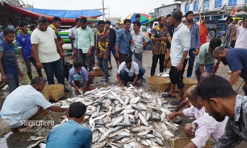 চট্টগ্রাম নগরীর কাট্টলীর রাণী রাসমণি ঘাটে ইলিশের পাইকারি বাজার। ছবি: সারাবাংলা
