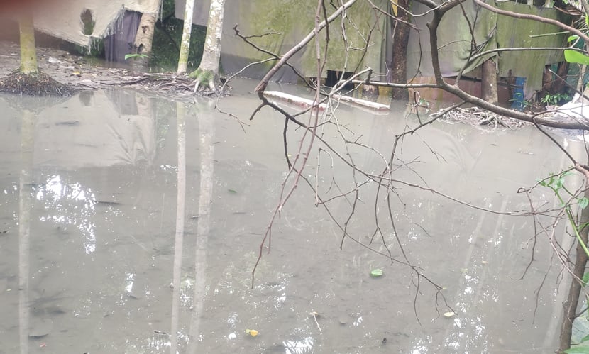 টানা বৃষ্টিতে নোয়াখালী জেলার বাসাবাড়িতে পানি ঢুকে পড়েছে। ছবি: সংগৃহীত