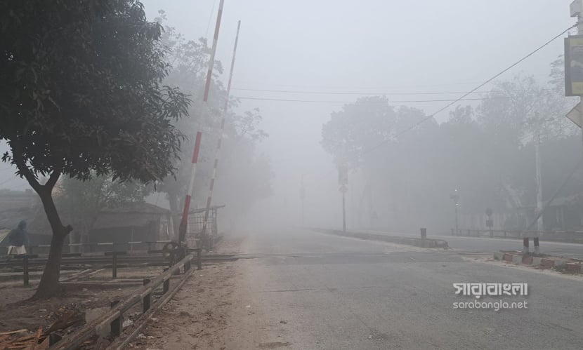 হেমন্তকালে কুয়াশা ও শিশির ভেজা সকালে শীতের আগমনী বার্তা শোনা যায়। ছবি: সারাবাংলা