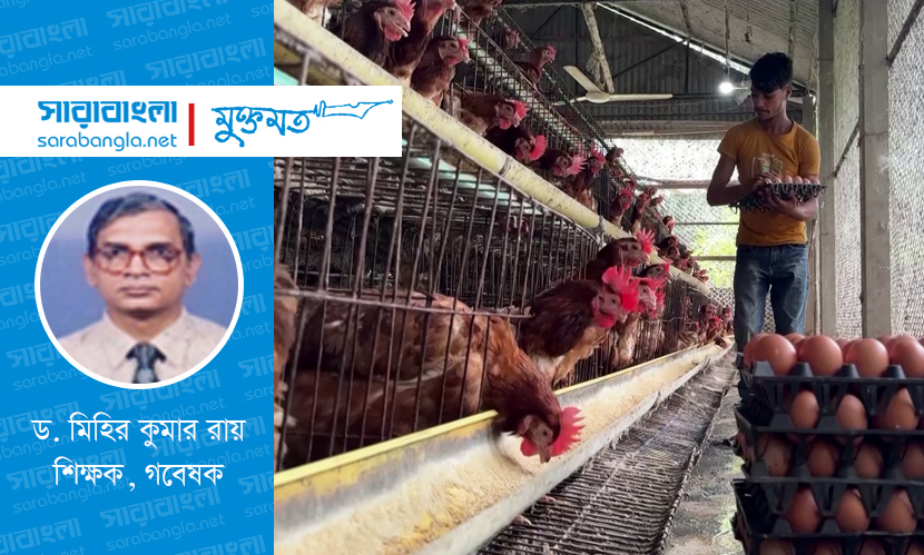 পোলট্রি শিল্প: লোকসানে খামারি, লাভে মধ্যস্বত্বভোগী