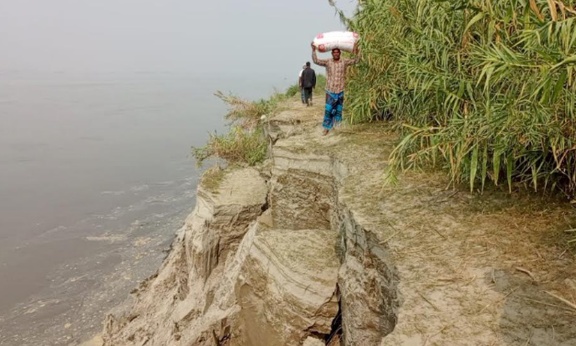 বগুড়ায় অসময়ে নদী ভাঙনে দিশেহারা মানুষ