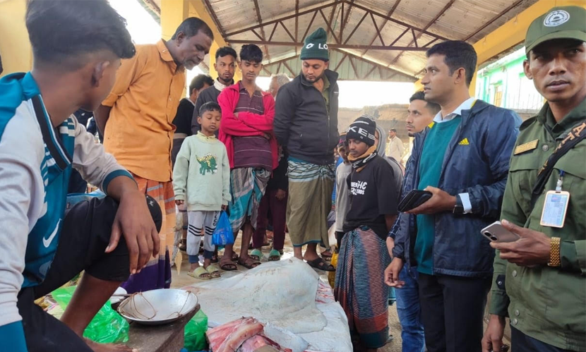 অহরণনিষিদ্ধ শাপলা পাতা মাছ জব্দ, ৩ ব্যবসায়ীকে জরিমানা