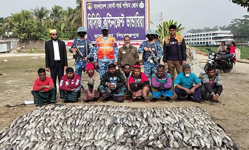 পিরোজপুরে কোস্টগার্ডের অভিযানে ৪৯১টি হাঙ্গর জব্দ