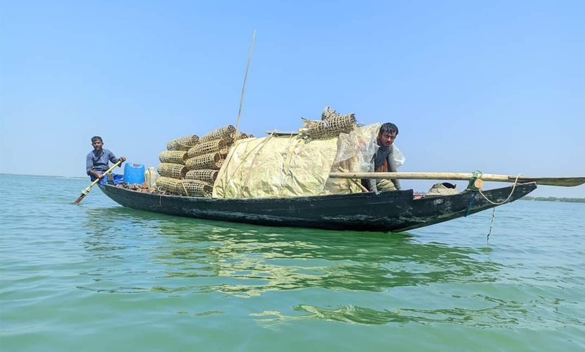 সুন্দরবনে কাঁকড়া ধরায় দুই মাসের নিষেধাজ্ঞা