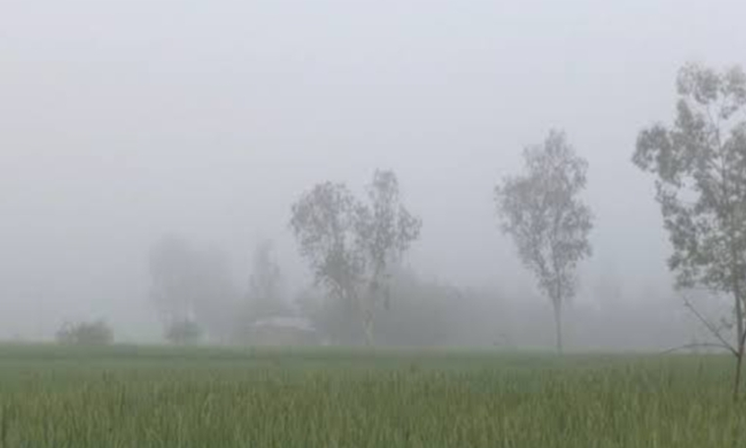 চাঁপাইনবাবগঞ্জে তীব্র শীতে বিপাকে দিনমজুর ও নিম্ন আয়ের মানুষ