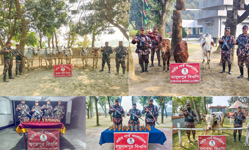চাঁপাইনবাবগঞ্জ সীমান্ত থেকে ১১টি ভারতীয় গরু ও মদ জব্দ
