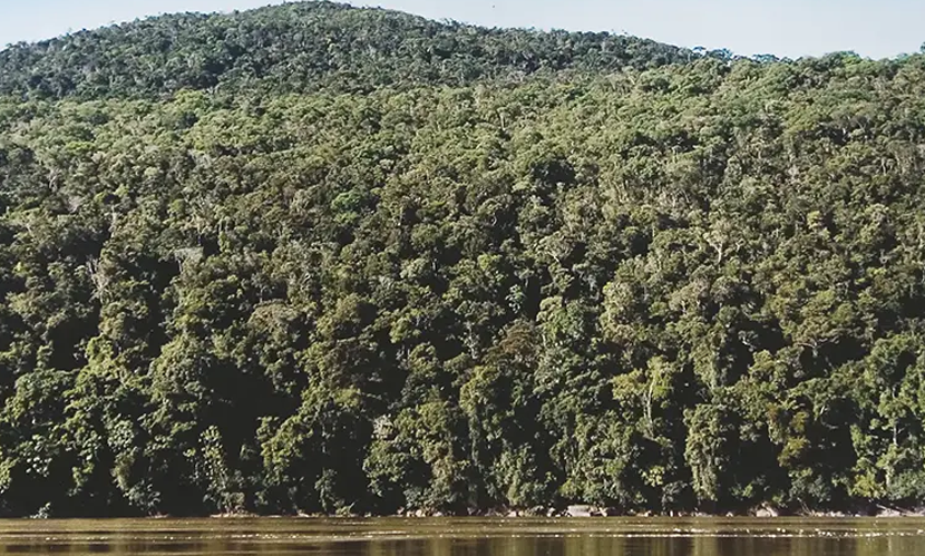 কলম্বিয়ায় বিদ্রোহী ২ গোষ্ঠীর মধ্যে সংঘর্ষ, নিহত ২৭