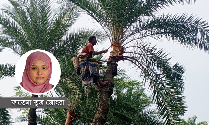 গাছি পেশা: গ্রামীণ অর্থনীতির একটি ঐতিহ্যবাহী অংশ