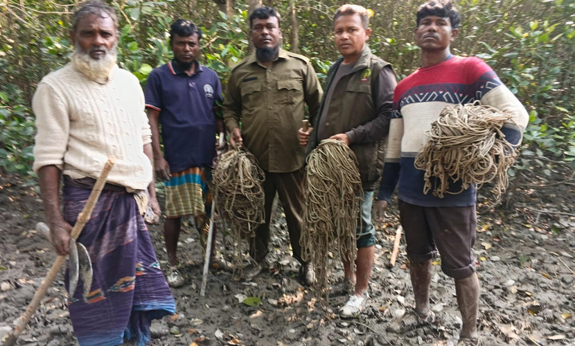 সুন্দরবনে হরিণ শিকারের ২১০টি ফাঁদ জব্দ
