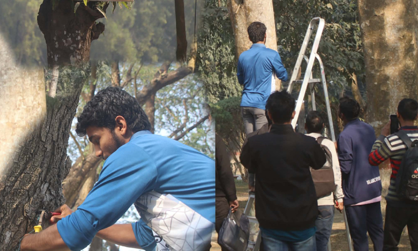 ইবিতে গাছ থেকে পেরেক অপসারণ করল ‘গ্রিন ভয়েস’