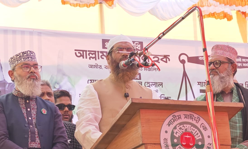 জুলাই গণবিপ্লবের মধ্য দিয়ে দেশ স্বৈরতন্ত্রমুক্ত হয়েছে: মামুনুল হক