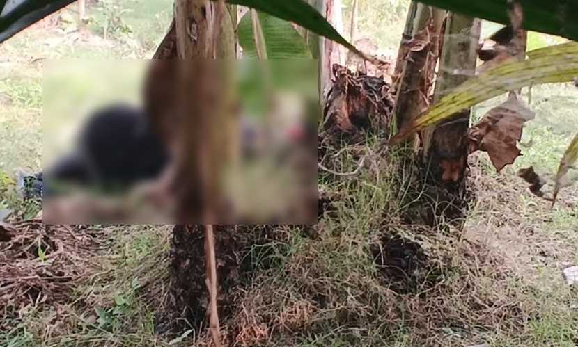 পাবনায় কিশোরের মরদেহ উদ্ধার