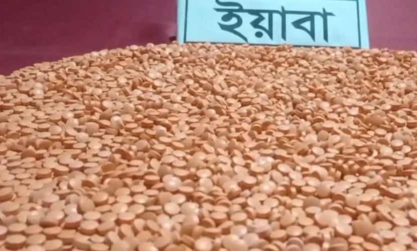 কুষ্টিয়ায় যাত্রীবাহী বাস থেকে ২৯ লাখ টাকার ইয়াবা উদ্ধার