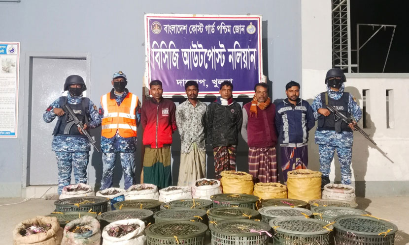 কালাবগিতে কোস্ট গার্ডের অভিযানে জব্দ ৪৯০ কেজি কাঁকড়া, আটক ৫