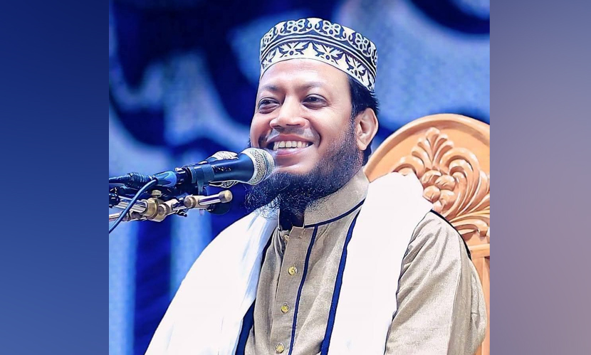 আমির হামজার বিরুদ্ধে ইবি ছাত্রদল নেতার মানহানি মামলা