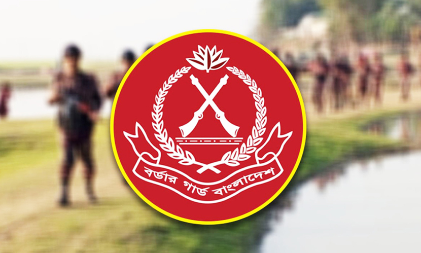 এক বছরে মাদক-অস্ত্র-গহনাসহ ১৯০৮ কোটি টাকার অবৈধ পণ্য জব্দ বিজিবির