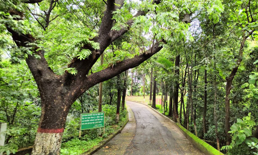 ডিআইজি বাংলোর নিরাপত্তা রক্ষী খুন: ১০ যুবলীগ কর্মীর যাবজ্জীবন