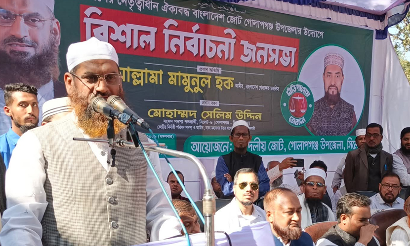 যারা ‘না’ভোটের পক্ষে প্রচার চালাবে, তারা বাংলাদেশ বিরোধী: মামুনুল হক