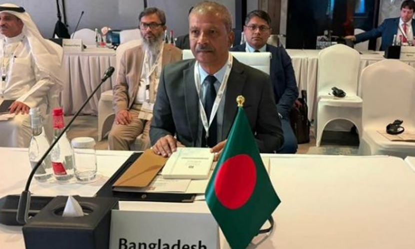 ভিসা জটিলতা নিরসনে আমিরাতের সহযোগিতা চাইলেন আসিফ নজরুল
