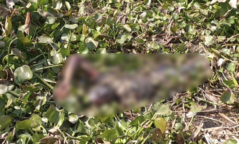 চুয়াডাঙ্গায় ভৈরব নদ থেকে যুবকের মরদেহ উদ্ধার