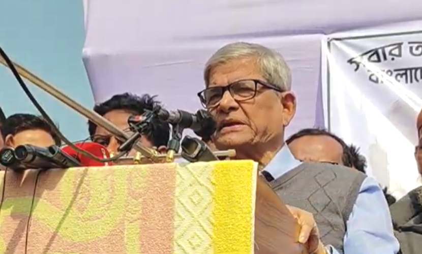 বিএনপি কাজে বিশ্বাস করে, সমালোচনায় না: মির্জা ফখরুল